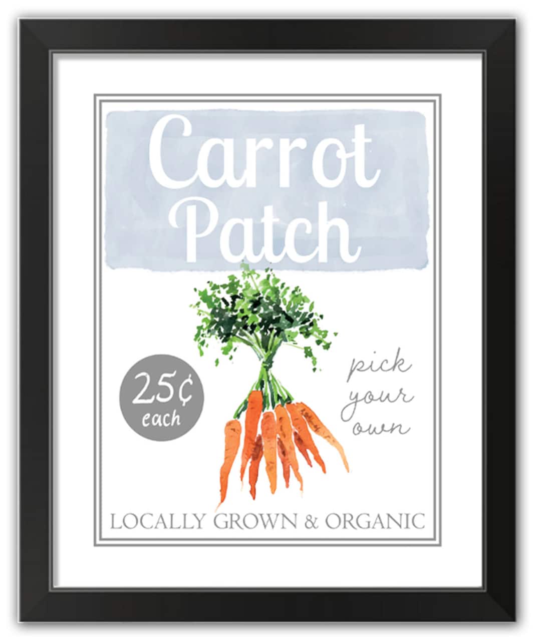 Carrot Patch Sign 5 16" x 20" Black Framed Print Under Plexiglass